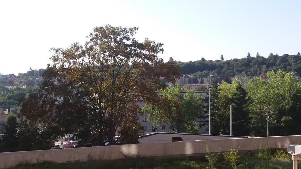 Belandria Apartamento Praga