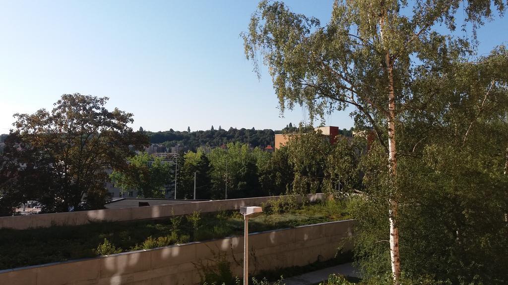 Belandria Praga